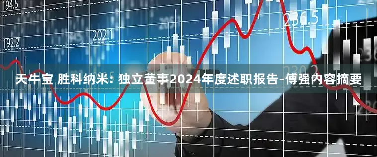 天牛宝 胜科纳米: 独立董事2024年度述职报告-傅强内容摘要