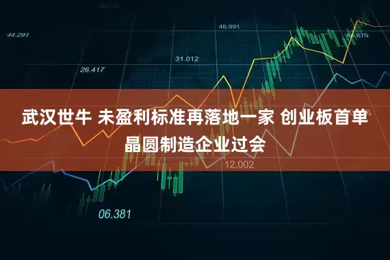 武汉世牛 未盈利标准再落地一家 创业板首单晶圆制造企业过会